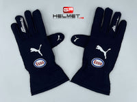 Max 2021 F1 Racing gloves / F1